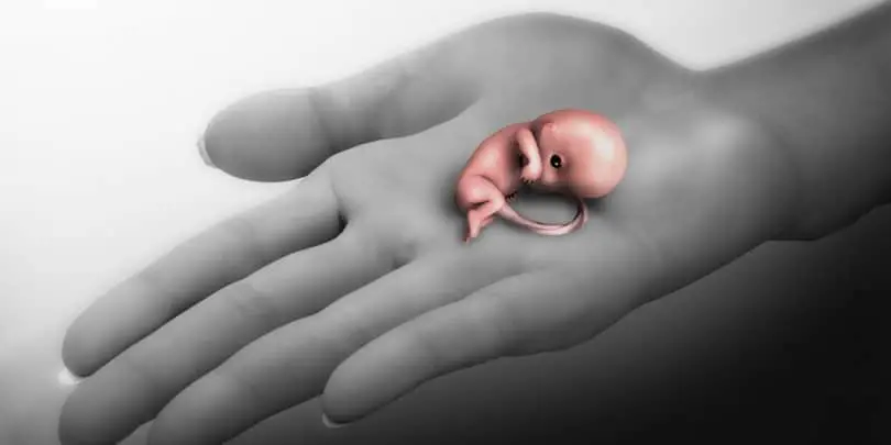 إجهاض الحمل وأهم الأسباب والنصائح لتجنبه